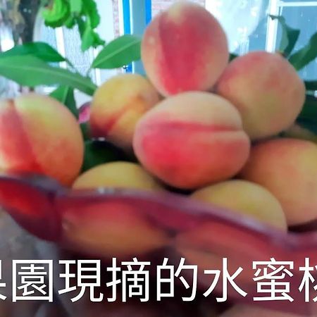 Taitung Linyuan B&B Donghe Bagian luar foto
