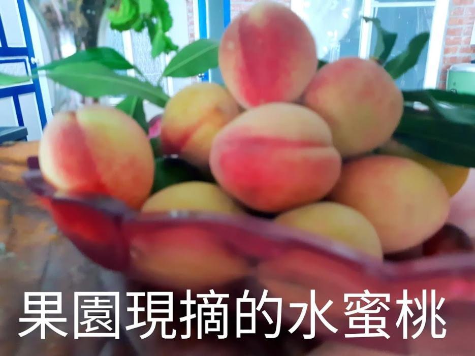 Taitung Linyuan B&B Donghe Bagian luar foto